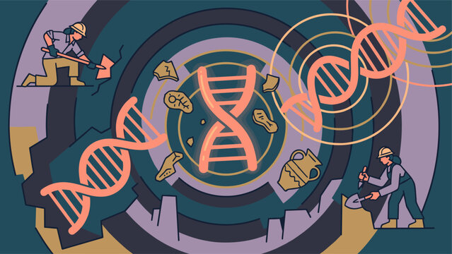 Archaeologists Excavating Ancient Fossils, Pottery Shards, and DNA Strands to Study Human Evolution and Prehistoric Civilization Heritage Anthropology Vector Illustration