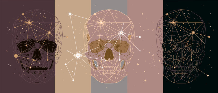 Human Skull Anatomy Vector Illustration with Geometric Constellation Lines for Anthropology Research, Ancient Archaeology, and Human Evolution Science Studies