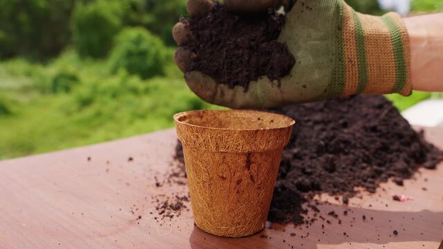 Gardener Fills a Biodegradable Coconut Fiber Pot With Fertile Soil Outdoors, Sustainable Preparation for Planting and Organic Cultivation