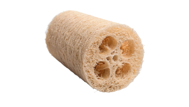 Natural dry cylindrical organic luffa sponge isolated on transparent background for beauty spa bathroom peeling