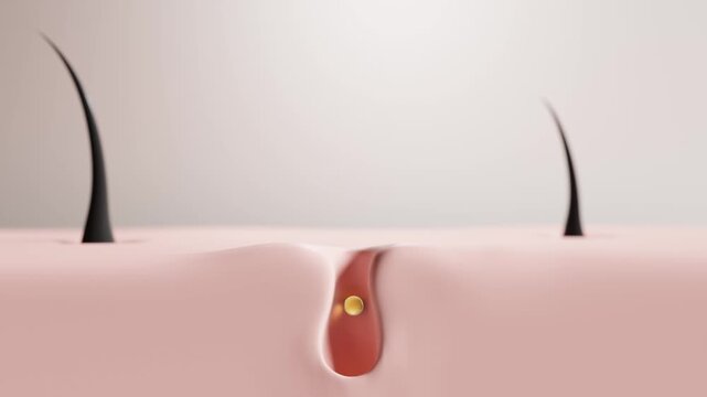 Nourishing oil droplets absorbing into scalp hair follicle. 3D Render