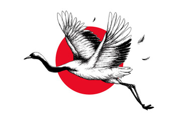 Naklejka premium Japanese crane, black & white illustration