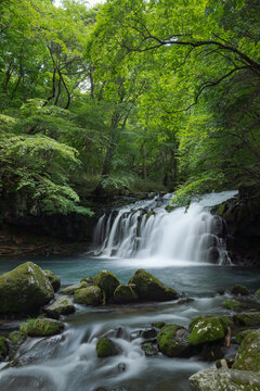 深緑に流れる川と滝