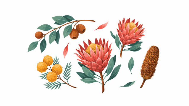 Exotic Australian flora including protea banksia wattle flowers and eucalyptus branches with seed pods and leaves.