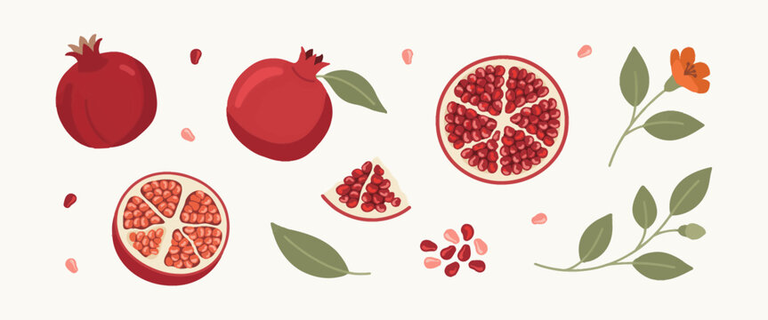 Set of pomegranate illustrations with whole fruits, half, quarter, seeds, leaves, and flowers on light background.