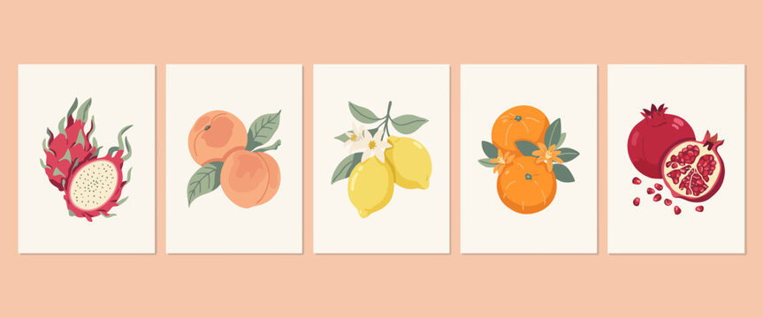 Dragon fruit peaches lemons oranges pomegranates variety ripe fresh healthy organic fruits collection flat illustration.