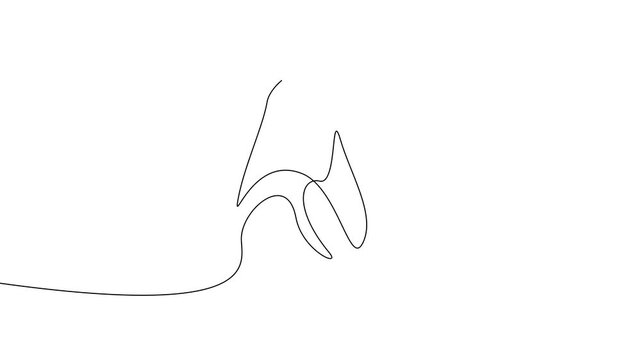 Single Continuous Line Eagle Path Tracing Animation Minimal Bird Illustration 4K