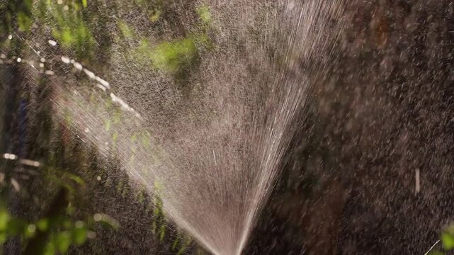 Close View of Automatic Sprinkler Creating Powerful Fans of Water Droplets in Slow Motion, Efficient Irrigation and Garden Maintenance