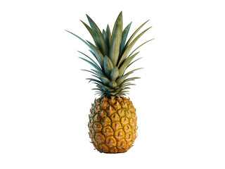 Fototapeta premium A single ripe pineapple standing upright isolated against a solid black background