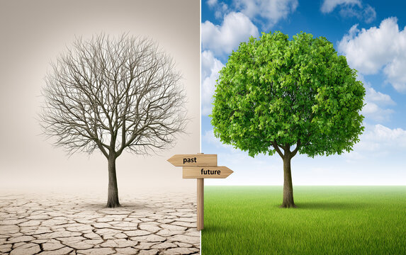 Symbolic landscape shows contrast between two worlds. Left side dry cracked earth, dead tree representing past. Right side green grass, tree representing future.
