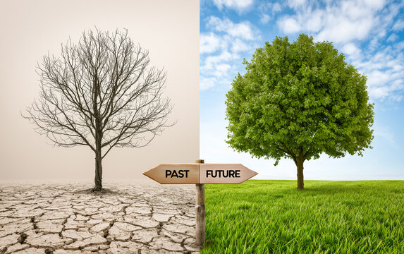 Symbolic landscape shows contrast between two worlds. Left side dry cracked earth, dead tree representing past. Right side green grass, tree representing future.