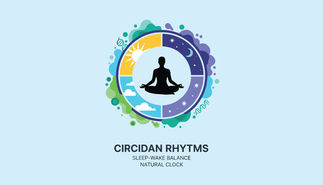 Human silhouette meditating inside a circadian rhythm clock showing sleep wake cycle balance and healthy lifestyle.