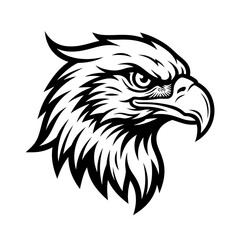 Fototapeta premium Detailed eagle head mascot graphic profile