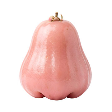 Fresh pink rose apple fruit isolated on white background, ripe wax apple with glossy skin, organic tropical java apple for healthy food concept