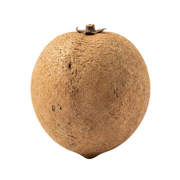 Sapodilla fruit isolated on white background, fresh whole sapota with brown textured skin, tropical naseberry fruit for healthy diet and culinary design