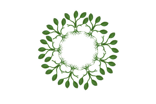 Green leaf overlaid with planet earth inside circular tree network concept for sustainability