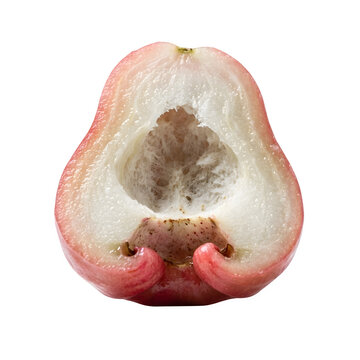 Fresh rose apple slice isolated on white background, cross section of ripe water apple fruit, juicy pink java apple half for healthy food design