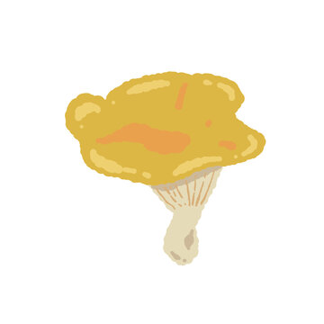 Single Chanterelle Mushroom Top Angle View Vector Illustration