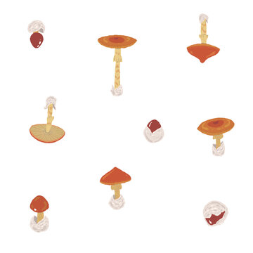 Scattered Caesar's Mushrooms Background Element Hand Drawn Illustration