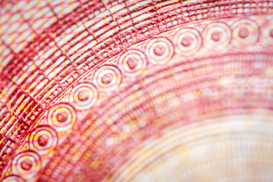 Euro currency extreme close up of 10 euro banknote. Detailed European money texture. Selective focus. Shallow depth of field. Extreme macro.