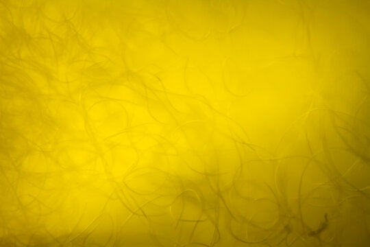 Extreme macro of polyester stable fiber on yellow background. Selective focus, shallow depth of field. Abstract dreamy background