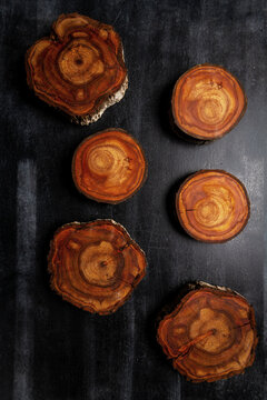 Wood log tree slices on black chalkboard. Flat lay. Top view