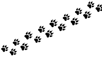 Fototapeta premium Animal Paw Prints Trail