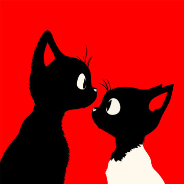 Lovely cats on red background, white and black cats love each other