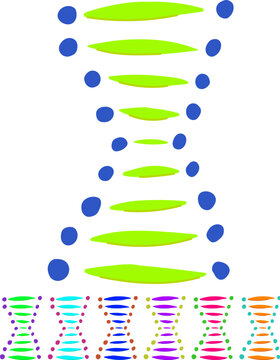 transcription dna spiral cartoon. translation doublehelix, basepairs adenine, thymine cytosine transcription dna spiral sign vector