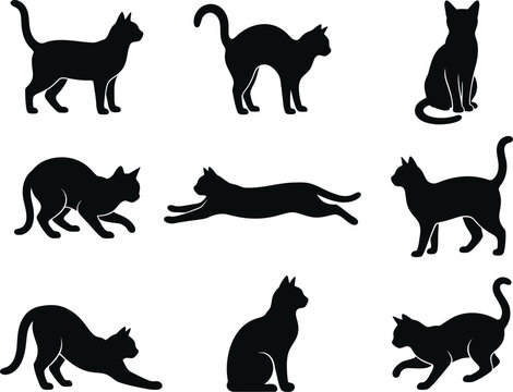 Collection of various black cat poses displayed in a minimalist graphic style silhouette