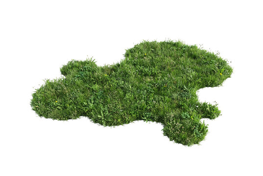 Natural patch of lush green lawn grass with small wild plants and weeds isolated cutout element for landscaping and architectural visualization.
