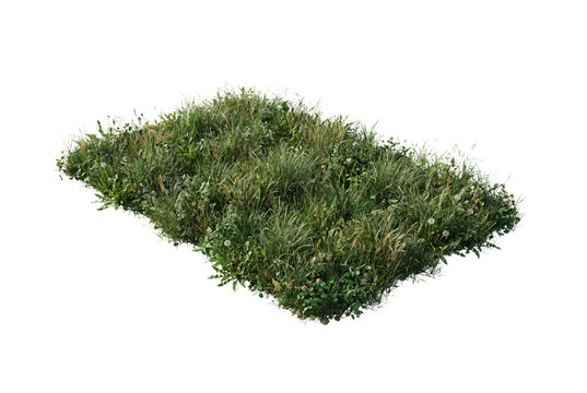 Realistic rectangular meadow grass patch with wild weeds, dandelions, and clover foliage isolated cutout for landscape design and architectural visualization.