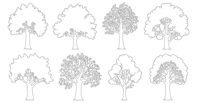 Minimal CAD deciduous tree line drawings for architectural landscape sections