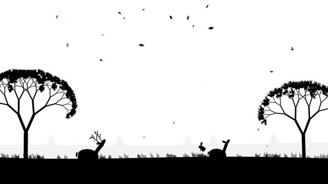 Random video of a forest silhouette
