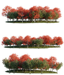 Autumn Forest Trees in Varying Stages of Color Change - Perfect for Fall Landscapes and Seasonal Designs