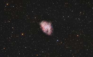 The Crab nebula (supernova remnant) or called also Messier 1 in the Taurus constellation, taken with amateur telescope. © infinitalavita