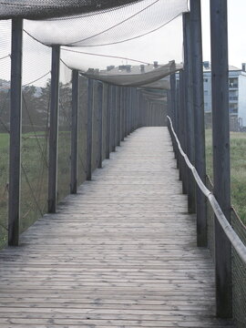 pasarela