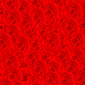 Red rose pattern a repeating floral ornament with tightly wound petals and a monochromatic palette
