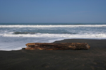 Large driftwood log resting on a black sand beach with ocean waves in the background. Natural coastal landscape. Suitable for nature, shoreline, erosion, travel, and environmental themes © Hary