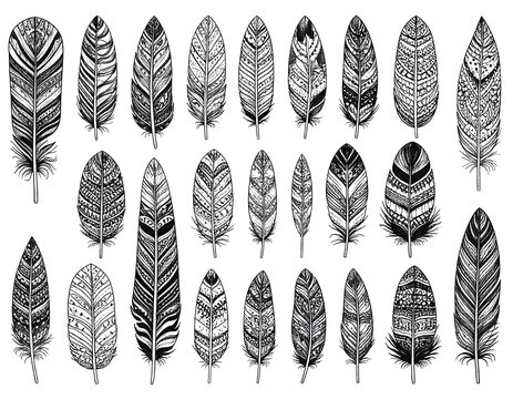 Feather set with hand drawn.