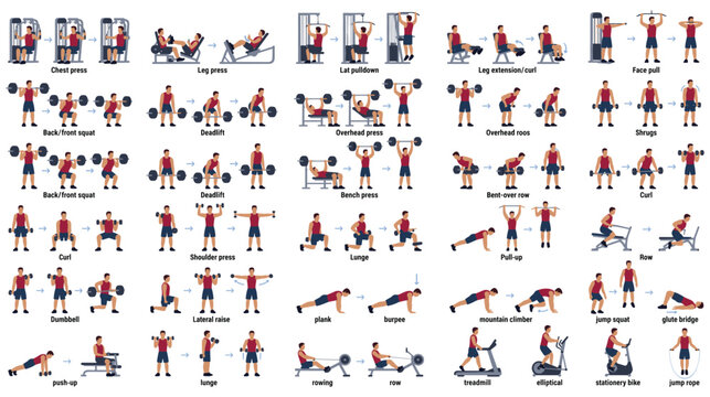 Fitness training workout set with various gym exercises vector illustration.