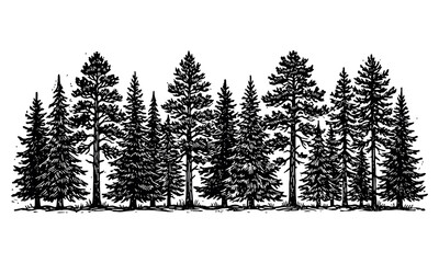 Black engraving style forest tree line art border on white background © SaifullahHussain
