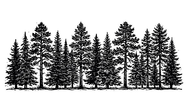 Black engraving style forest tree line art border on white background
