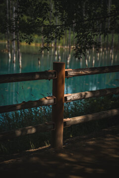 Shirogane Blue Pond (Aoiike) with turquoise mineral-rich water, standing dead trees, and forest reflections in Biei, Hokkaido, Japan. A famous scenic destination known for its tranquil natural beauty.