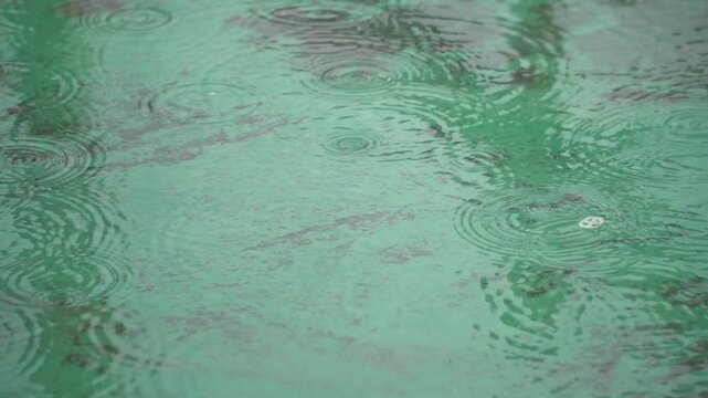 Raindrops Falling and Creating Ripples on a Puddled Green Surface