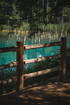 Shirogane Blue Pond (Aoiike) with turquoise mineral-rich water, standing dead trees, and forest reflections in Biei, Hokkaido, Japan. A famous scenic destination known for its tranquil natural beauty.