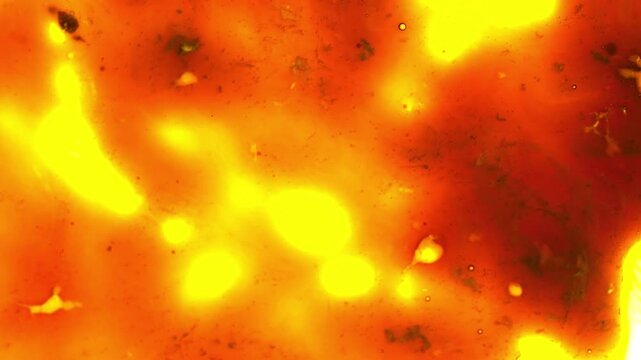 Vintage 8mm Film Gate Transition With Warm Analog Glow