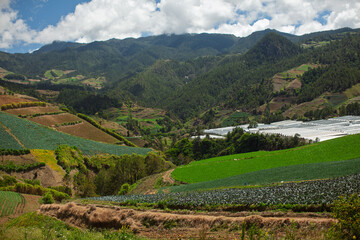 Lush green mountain valley with crop fields, terraces, and greenhouses nestled in the hills © hcarbuccia