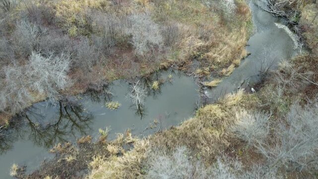 Drone flying just above the treetops of a leafless northern forest and looking down on a small winding stream
