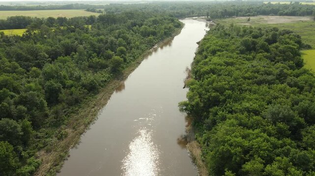 Drone aerial looking down on a large river that is cutting through green forests and yellow canola rape seed fields

